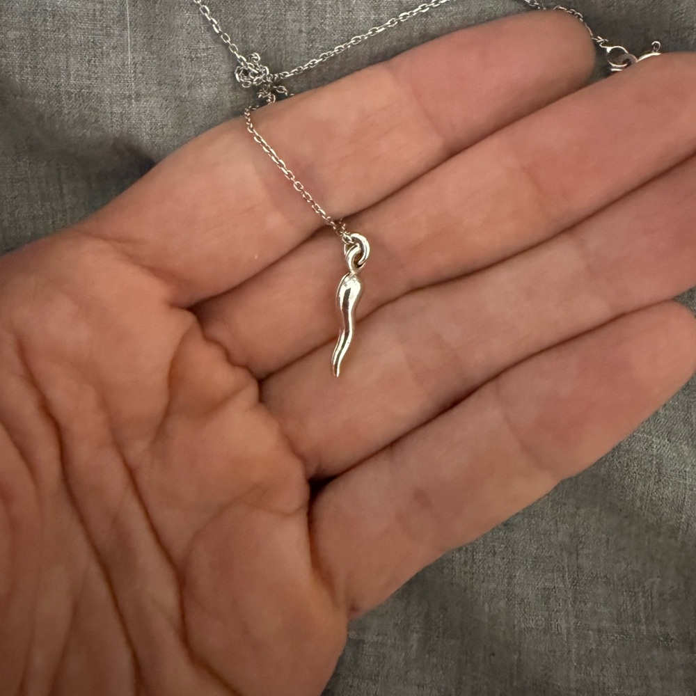 Sterling Silver “Cornicello” Necklace